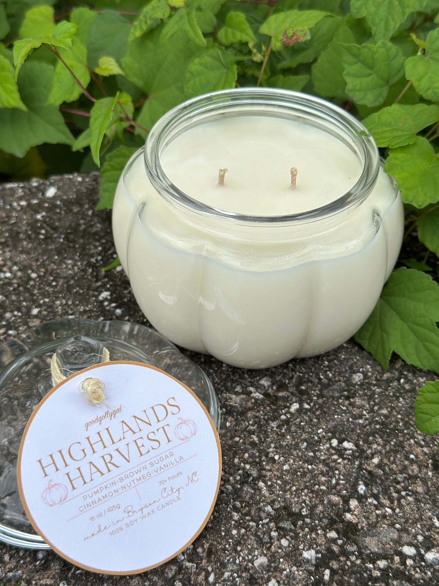 FALL CANDLE COLLECTION - 15oz Scented 100% Soy Wax Candle