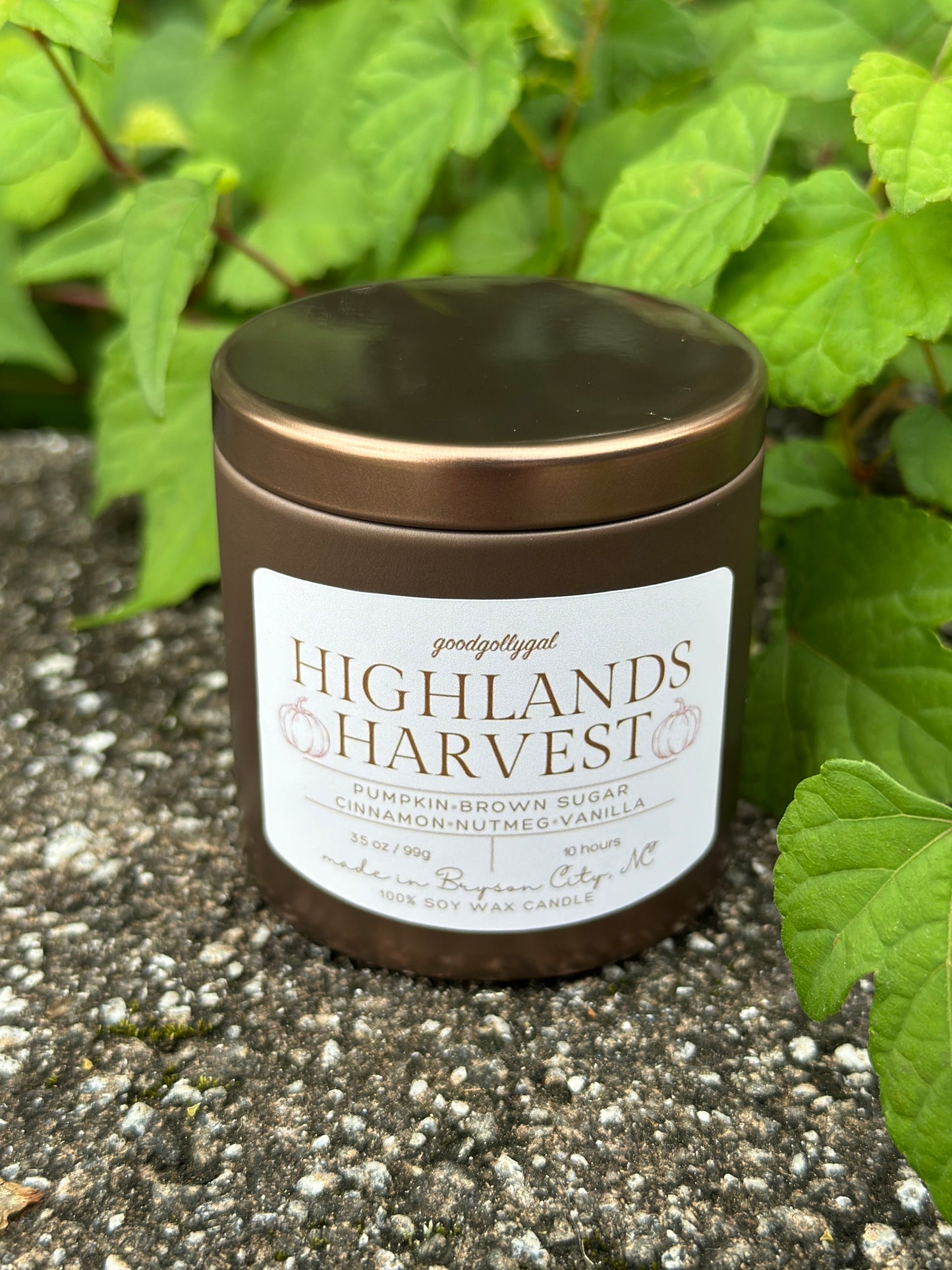 FALL CANDLE COLLECTION - 3.5oz scented 100% wax candles