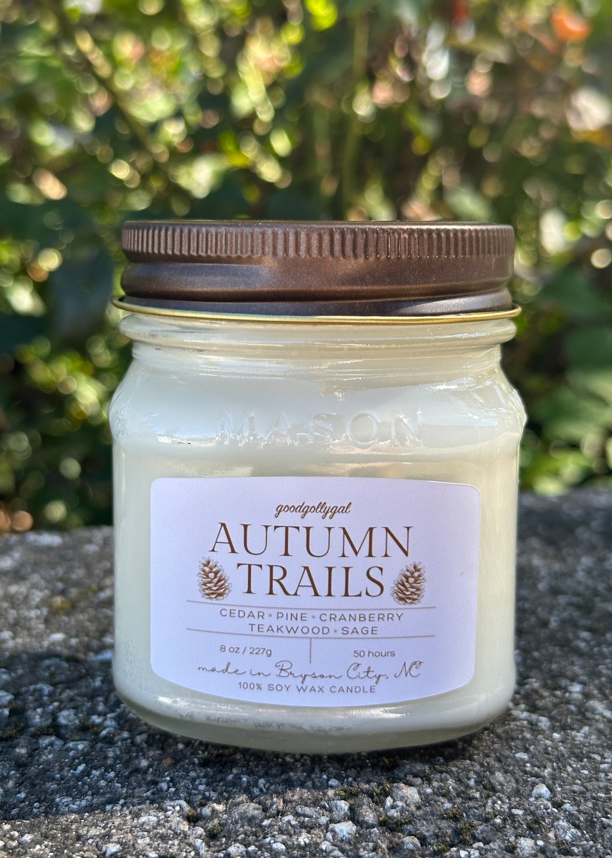 FALL CANDLE COLLECTION - 8oz scented 100% wax candles