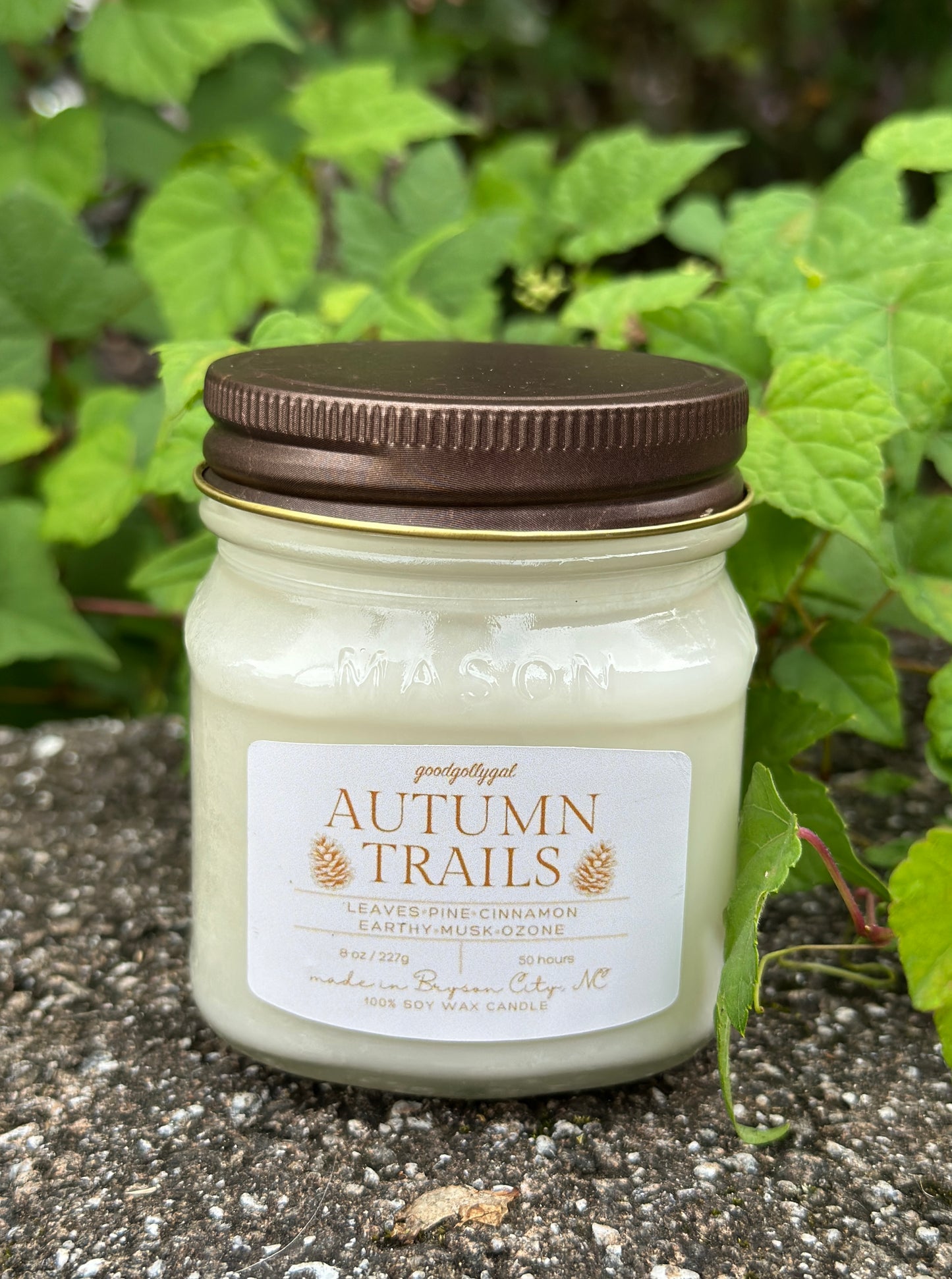 FALL CANDLE COLLECTION - 8oz scented 100% wax candles