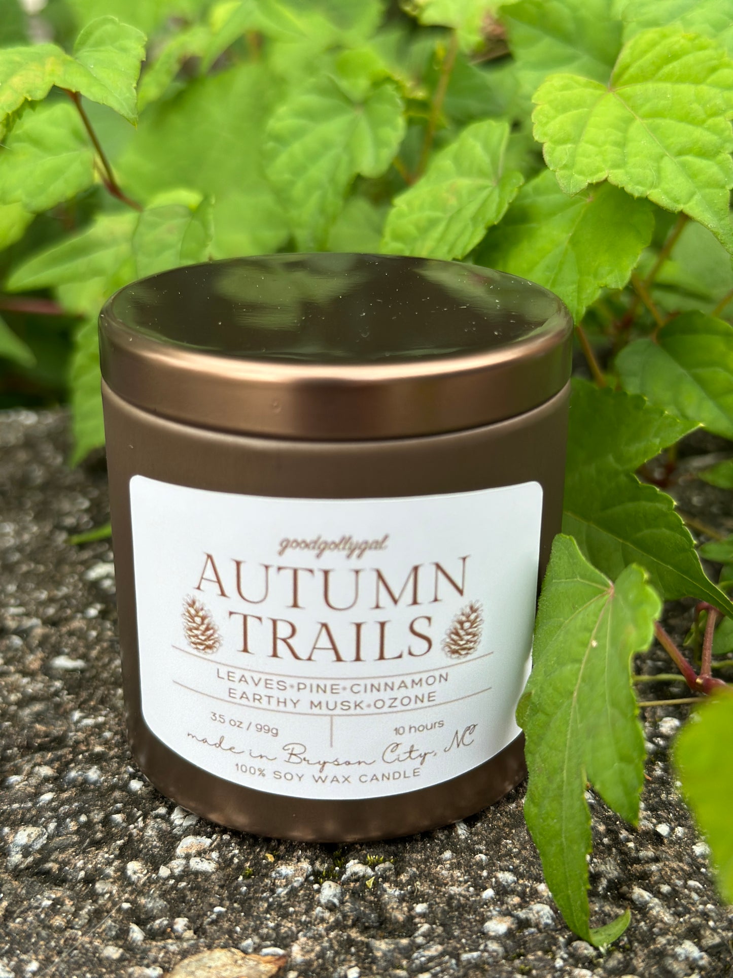 FALL CANDLE COLLECTION - 3.5oz scented 100% wax candles