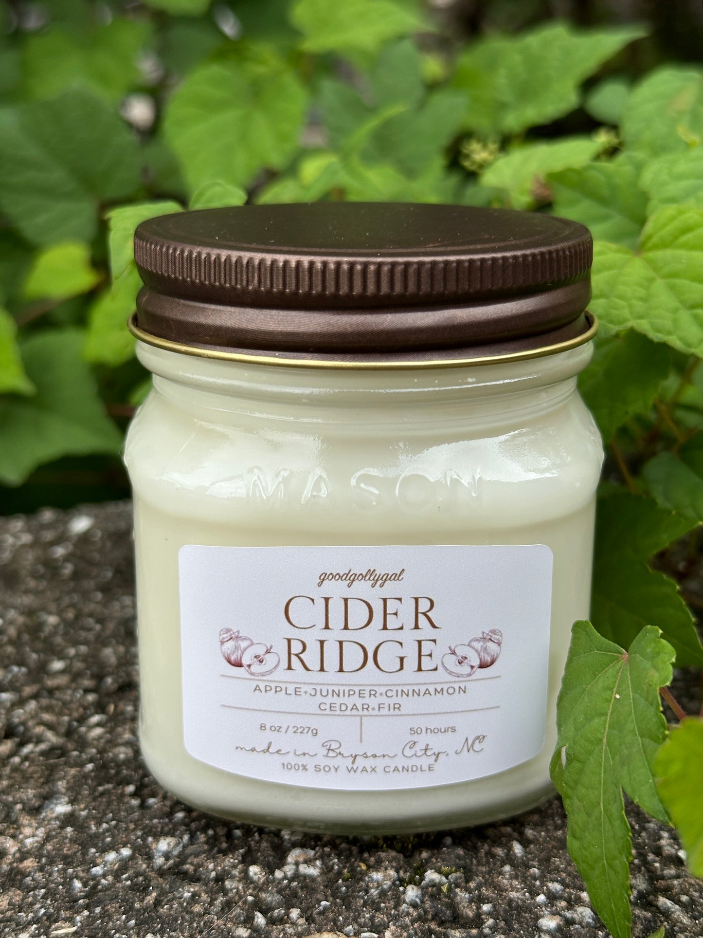 FALL CANDLE COLLECTION - 8oz scented 100% wax candles