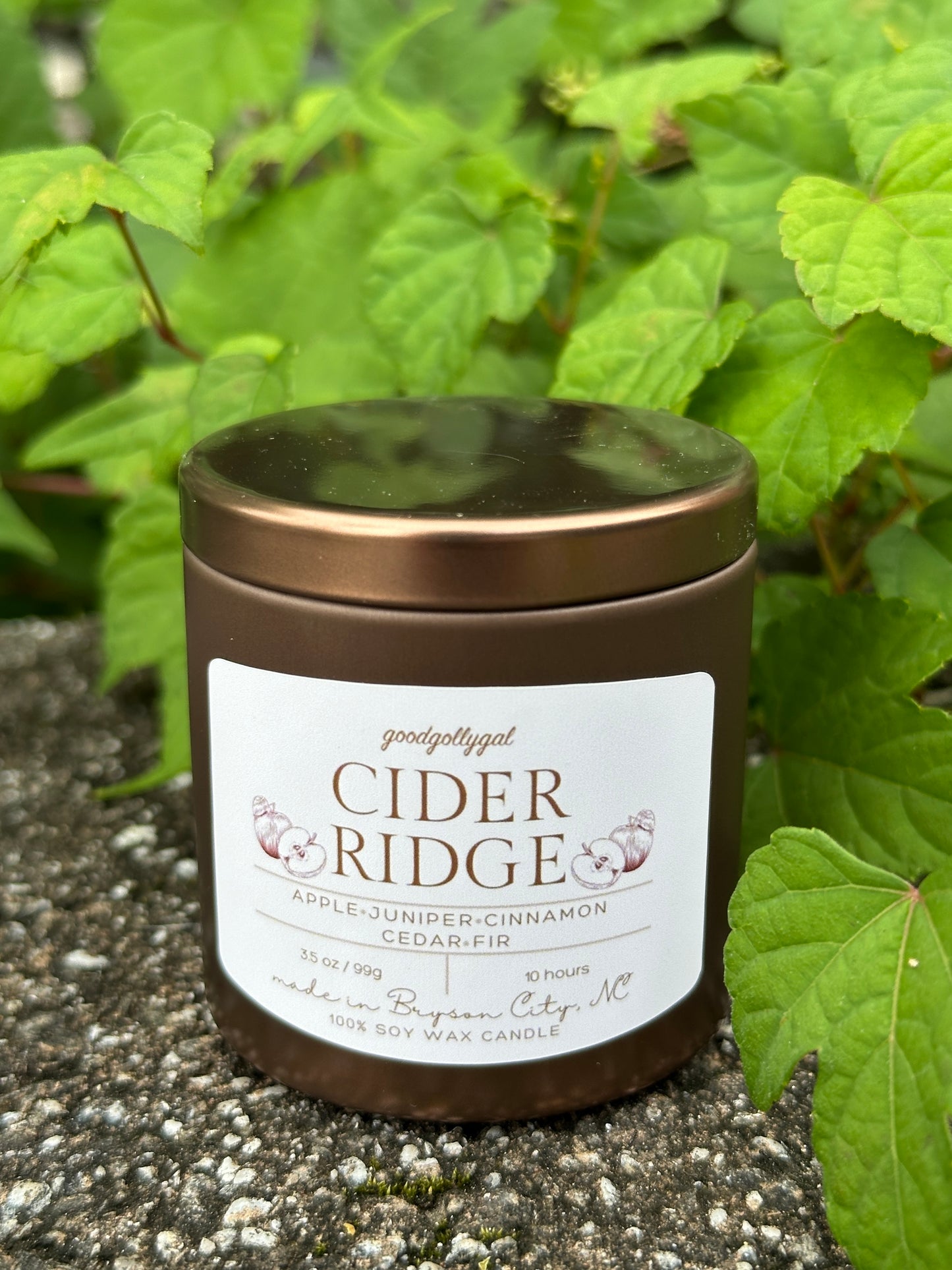 FALL CANDLE COLLECTION - 3.5oz scented 100% wax candles