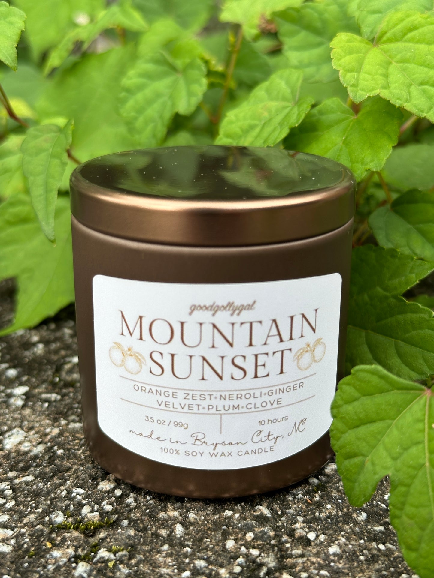 FALL CANDLE COLLECTION - 3.5oz scented 100% wax candles