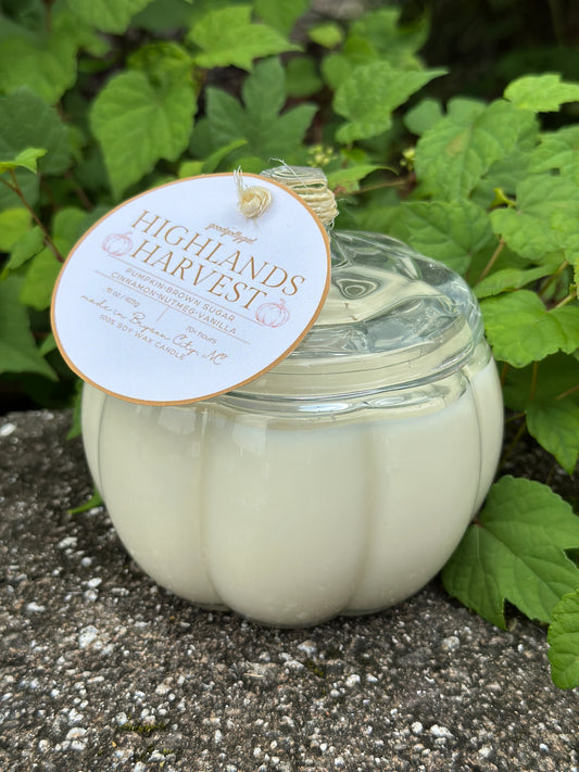 FALL CANDLE COLLECTION - 15oz Scented 100% Soy Wax Candle