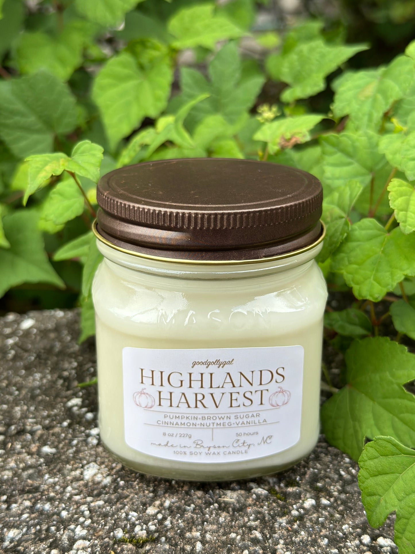 FALL CANDLE COLLECTION - 8oz scented 100% wax candles