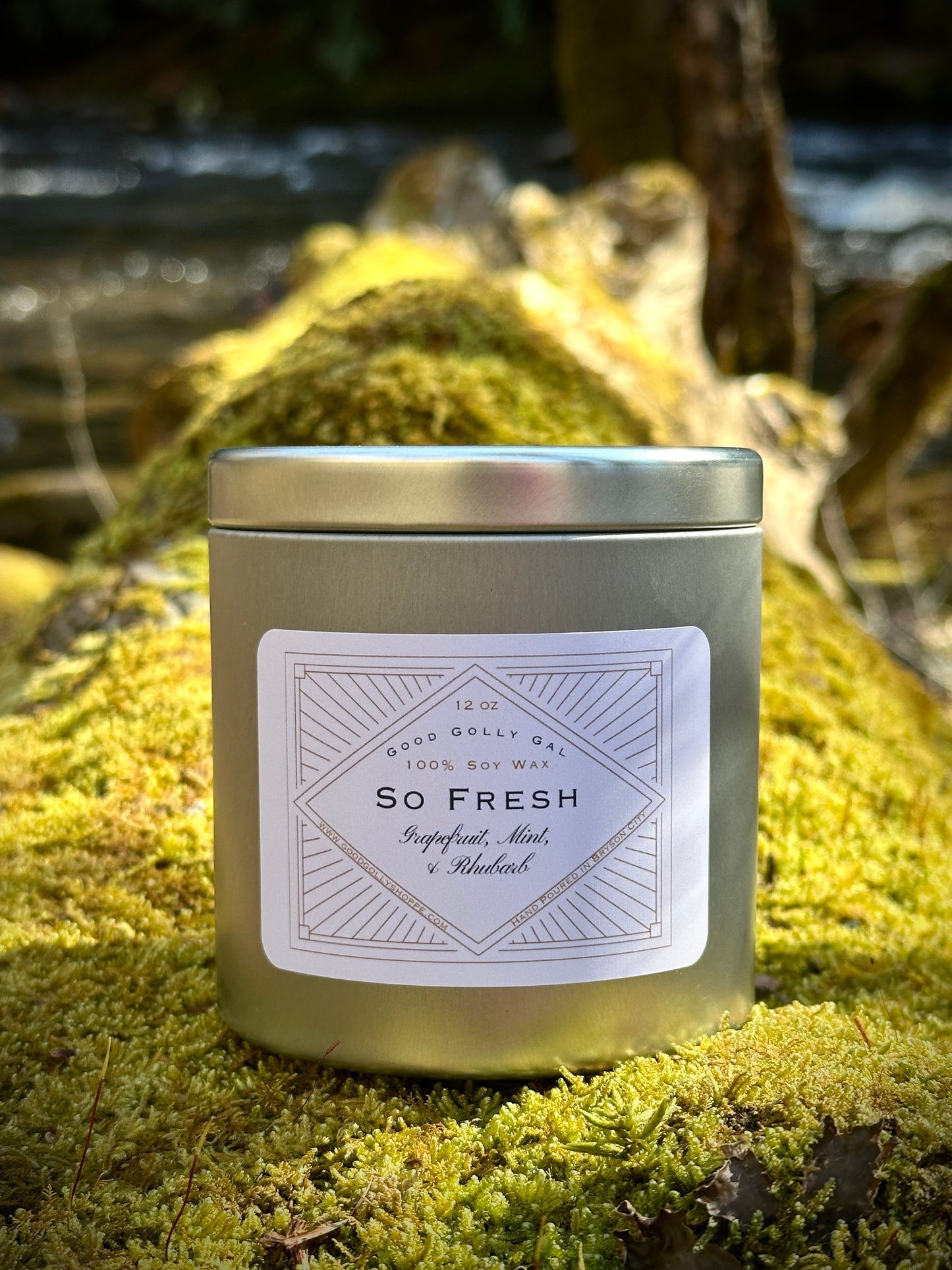 Company's Coming Candle Collection - 12oz